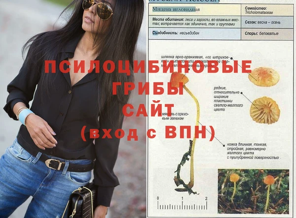 Альфа ПВП Нефтегорск