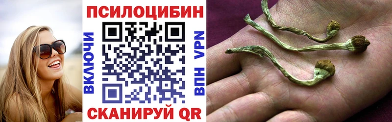 Псилоцибиновые грибы Cubensis  Темрюк 